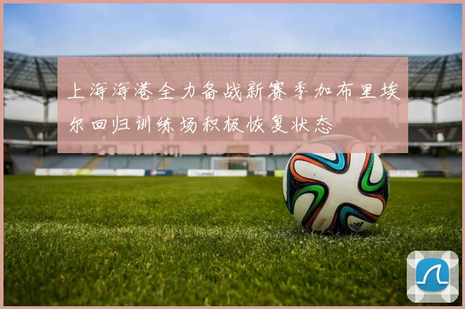 上海海港全力备战新赛季加布里埃尔回归训练场积极恢复状态