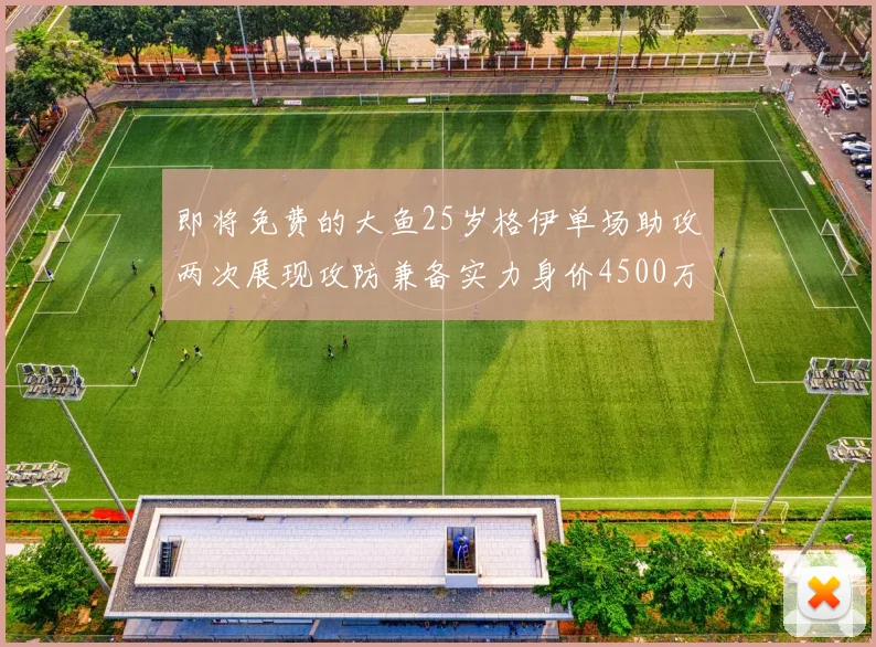 即将免费的大鱼25岁格伊单场助攻两次展现攻防兼备实力身价4500万