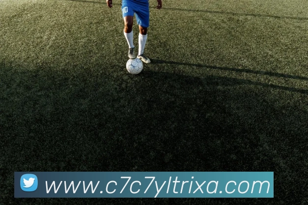 c7c7娱乐平台生态图